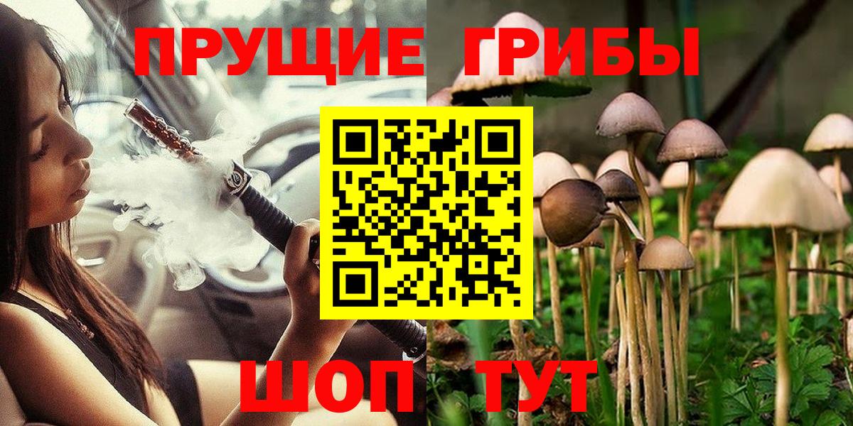 Ростов Великий  цены наркотик  Вход с VPN  Галлюциногенные грибы Psilocybine cubensis 